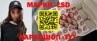 МДПВ Кингисепп