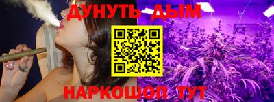 МДПВ Кингисепп