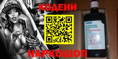 МДПВ Кингисепп