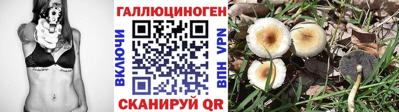 купить закладку  Коммунар  Галлюциногенные грибы Cubensis 